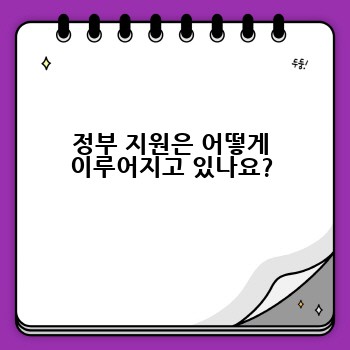 정부 지원은 어떻게 이루어지고 있나요?