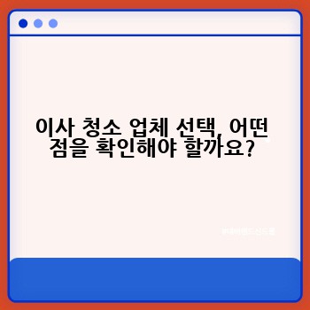 이사 청소 업체 선택, 어떤 점을 확인해야 할까요?