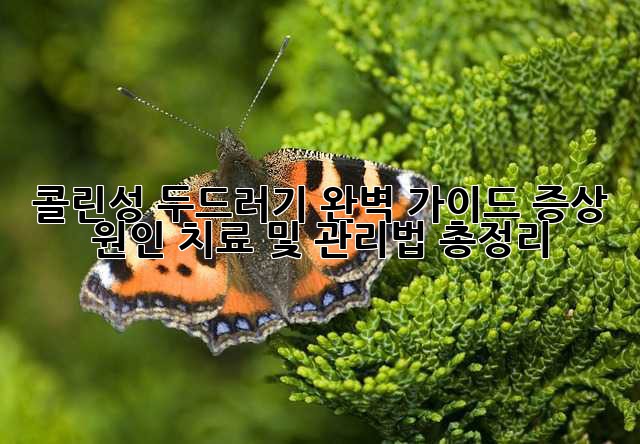 콜린성 두드러기 완벽 가이드: 증상, 원인, 치료 및 관리법 총정리