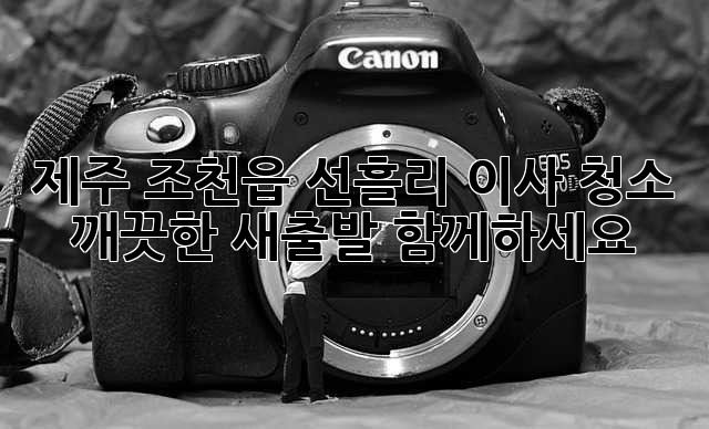 제주 조천읍 선흘리 이사 청소: 깨끗한 새출발, 함께하세요!