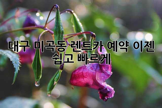 대구 미곡동 렌트카 예약, 이젠 쉽고 빠르게!