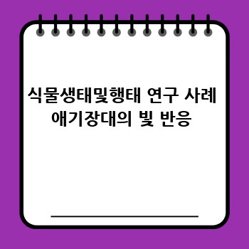 식물생태및행태 연구 사례 애기장대의 빛 반응
