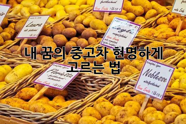 내 꿈의 중고차, 현명하게 고르는 법!
