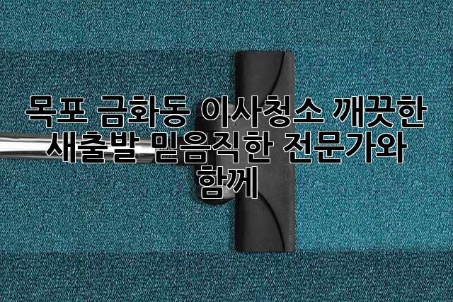 목포 금화동 이사청소: 깨끗한 새출발, 믿음직한 전문가와 함께!