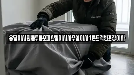 용달이사원룸투룸오피스텔이사사무실이사1톤트럭반포장이사