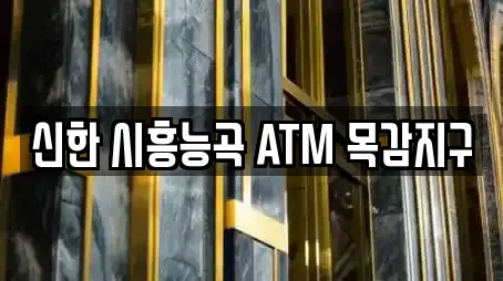 신한 시흥능곡 ATM 목감지구