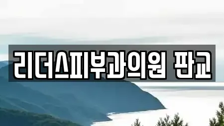 리더스피부과의원 판교