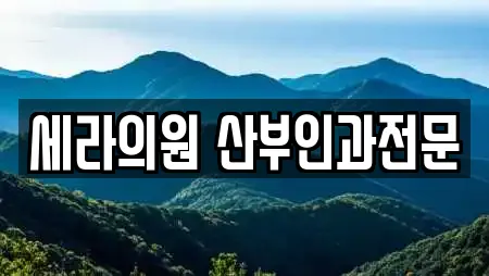 세라의원 산부인과전문
