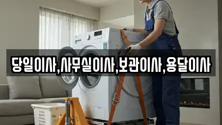 당일이사,사무실이사,보관이사,용달이사