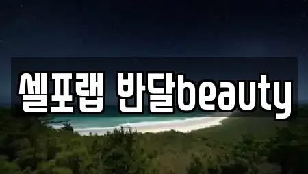 셀포랩 반달beauty