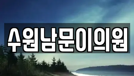 수원남문이의원