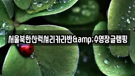 서울북한산럭셔리카라반&수영장글램핑
