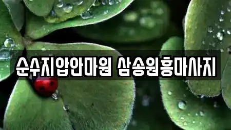 순수지압안마원 삼송원흥마사지