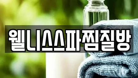 웰니스스파찜질방