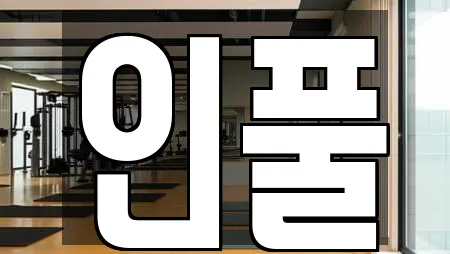 인풀