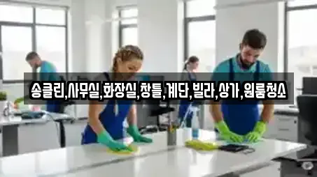 송클린,사무실,화장실,창틀,계단,빌라,상가,원룸청소