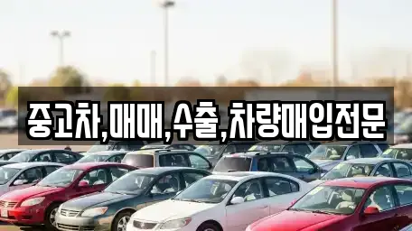 중고차,매매,수출,차량매입전문