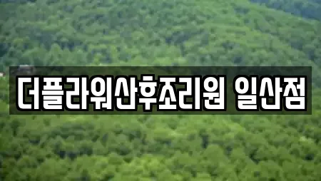 더플라워산후조리원 일산점