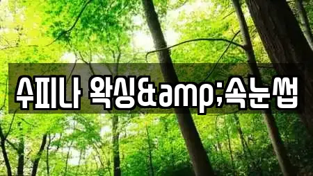 수피나 왁싱&속눈썹