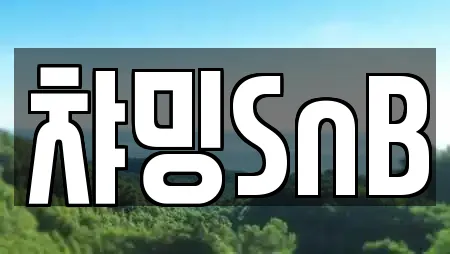 챠밍SnB