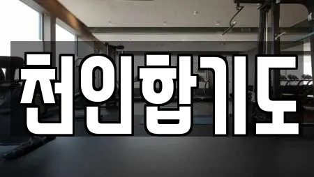 천인합기도