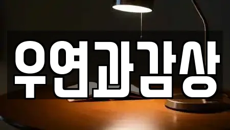 우연과감상