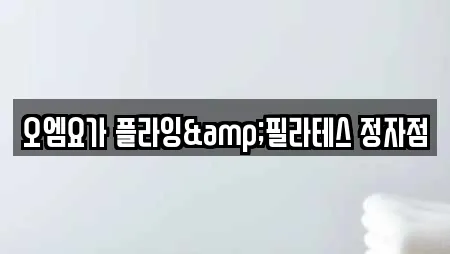 오엠요가 플라잉&필라테스 정자점