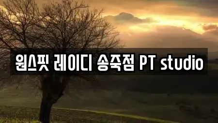 원스핏 레이디 송죽점 PT studio