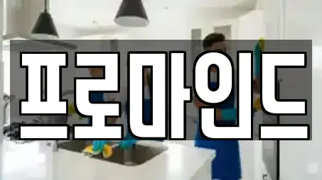 프로마인드