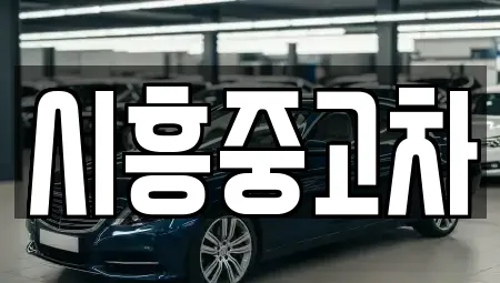 시흥중고차