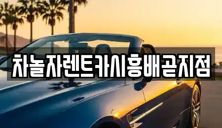 차놀자렌트카시흥배곧지점