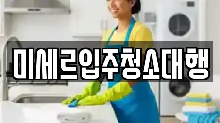 미세르입주청소대행