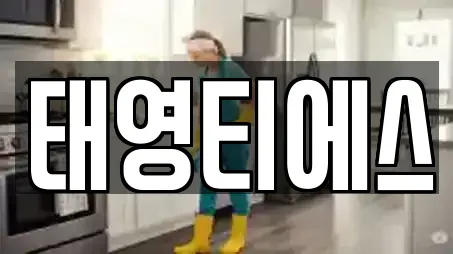 태영티에스