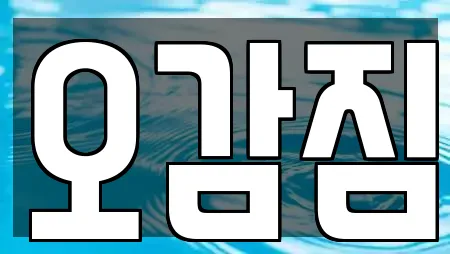 오감짐