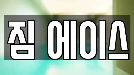 짐 에이스