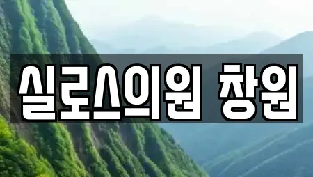 실로스의원 창원