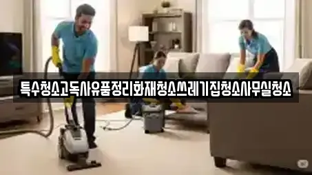 특수청소고독사유품정리화재청소쓰레기집청소사무실청소