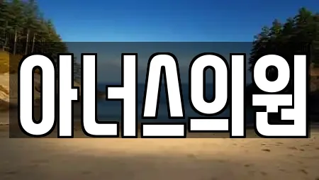 아너스의원