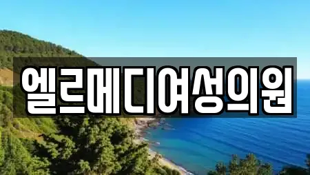 엘르메디여성의원