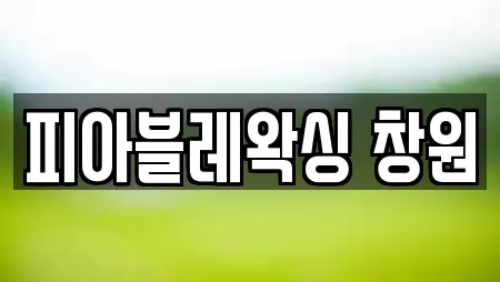 피아블레왁싱 창원