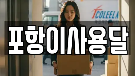 포항이사용달