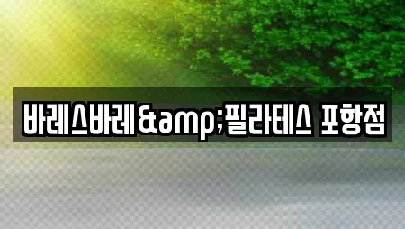 바레스바레&필라테스 포항점