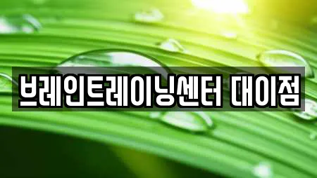 브레인트레이닝센터 대이점