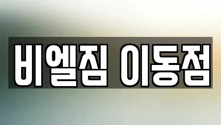 비엘짐 이동점