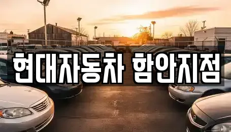 현대자동차 함안지점