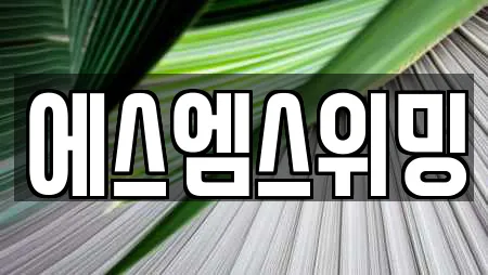 에스엠스위밍