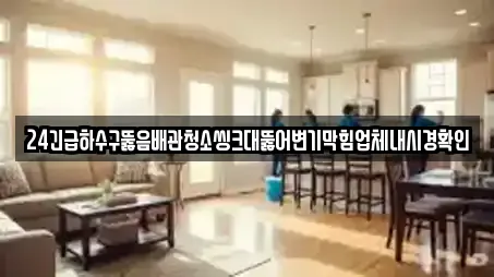 24긴급하수구뚫음배관청소씽크대뚫어변기막힘업체내시경확인