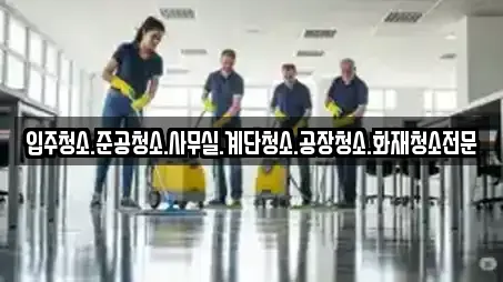 경상남도 귀현동 내 입주청소 검색 결과 12건 경상남도 귀현동 내 입주청소 검색 결과 12건
