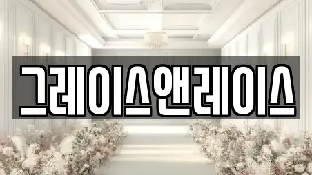 그레이스앤레이스