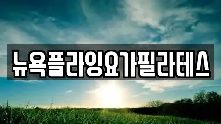 뉴욕플라잉요가필라테스